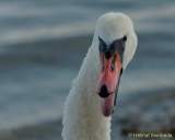 d160914-165540223-100-kampenwand-chiemsee