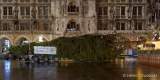 d191112-055304-120-100-christbaum_fuer_muenchen