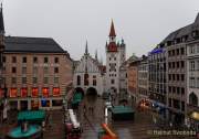 d191112-080323-440-100-christbaum_fuer_muenchen