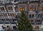 d191112-080425-680-100-christbaum_fuer_muenchen