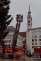 d191112-080856-940-100-christbaum_fuer_muenchen