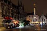 christbaum-fuer-muenchen-0030
