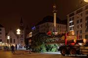 christbaum-fuer-muenchen-0040
