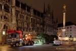 christbaum-fuer-muenchen-0060