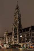 christbaum-fuer-muenchen-0080