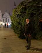 christbaum-fuer-muenchen-0090