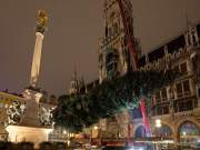 christbaum-fuer-muenchen-0150