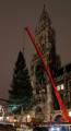 christbaum-fuer-muenchen-0170