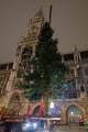 christbaum-fuer-muenchen-0180