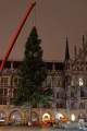 christbaum-fuer-muenchen-0190