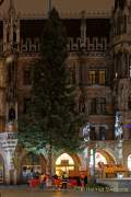 christbaum-fuer-muenchen-0200