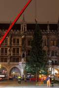 christbaum-fuer-muenchen-0210