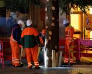 christbaum-fuer-muenchen-0220