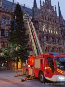 christbaum-fuer-muenchen-0270