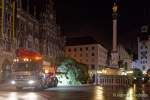 Christbaum fuer Muenchen 2022