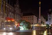 Christbaum fuer Muenchen 2022