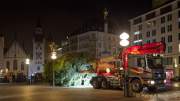 Christbaum fuer Muenchen 2022