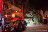 Christbaum fuer Muenchen 2022