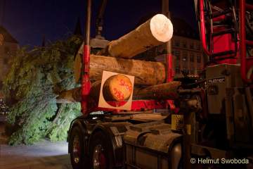 Christbaum fuer Muenchen 2022