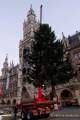 Christbaum fuer Muenchen 2022