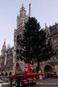Christbaum fuer Muenchen 2022