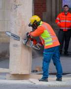 Christbaum fuer Muenchen 2022