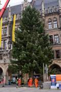 Christbaum fuer Muenchen 2022