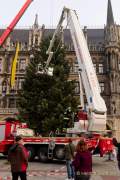 Christbaum fuer Muenchen 2022