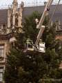Christbaum fuer Muenchen 2022