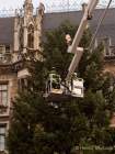 Christbaum fuer Muenchen 2022
