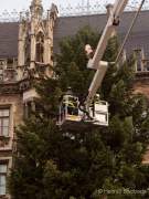 Christbaum fuer Muenchen 2022