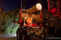 Christbaum fuer Muenchen 2022