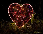 Eröffnung des Christmas Gardens im Zoo Augsburg 2025