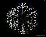 Eröffnung des Christmas Gardens im Zoo Augsburg 2025