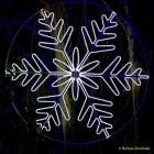 Eröffnung des Christmas Gardens im Zoo Augsburg 2025