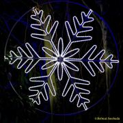 Eröffnung des Christmas Gardens im Zoo Augsburg 2025