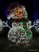 Eröffnung des Christmas Gardens im Zoo Augsburg 2025