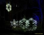 Eröffnung des Christmas Gardens im Zoo Augsburg 2025