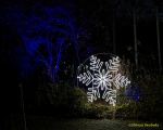 Eröffnung des Christmas Gardens im Zoo Augsburg 2025