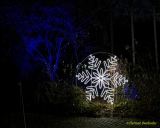 Eröffnung des Christmas Gardens im Zoo Augsburg 2025