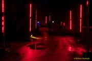 Eröffnung des Christmas Gardens im Zoo Augsburg 2025