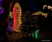 Eröffnung des Christmas Gardens im Zoo Augsburg 2025
