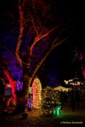 Eröffnung des Christmas Gardens im Zoo Augsburg 2025