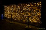Eröffnung des Christmas Gardens im Zoo Augsburg 2025