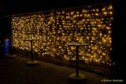 Eröffnung des Christmas Gardens im Zoo Augsburg 2025