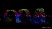 Eröffnung des Christmas Gardens im Zoo Augsburg 2025