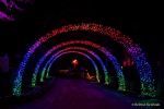 Eröffnung des Christmas Gardens im Zoo Augsburg 2025