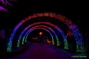 Eröffnung des Christmas Gardens im Zoo Augsburg 2025