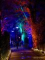Eröffnung des Christmas Gardens im Zoo Augsburg 2025