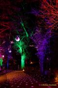 Eröffnung des Christmas Gardens im Zoo Augsburg 2025
